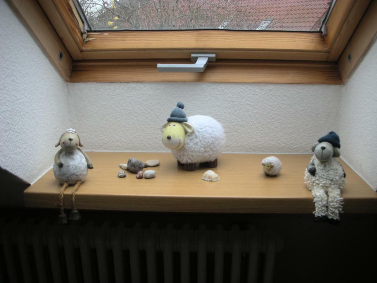 Apartment Seeadler Mit Balkon Dewichow Buitenkant foto